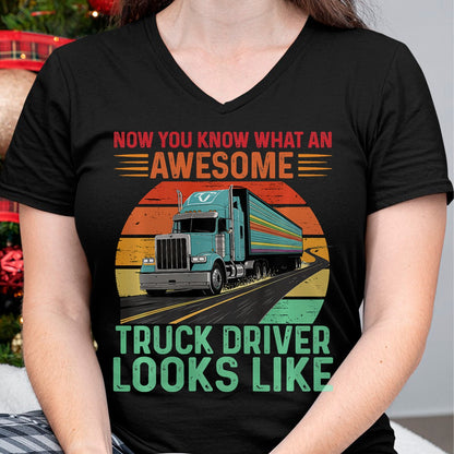 Best Truck Driver Life Shirt, Funny Trucker UnisexT-Shirt/Hoodie/Sweatshirt HLT00 - Awesome Truck driver Trucker Design For Men Truck Driver Premium Tri-blend T-Shirt