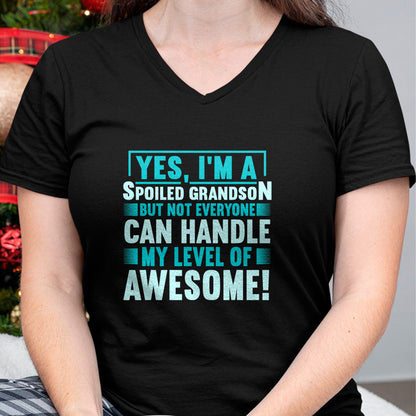 Best Grandpa Shirt, Proud Grandpa Unisex T-Shirt/Hoodie/Sweatshirt HLT00 - Grandma Spoiled Grandson Grandparents T-Shirt