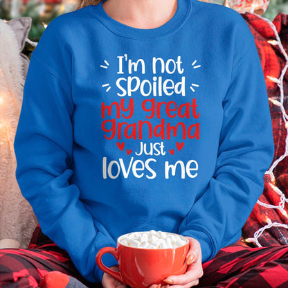 Best Wife Shirt, Wife and Husband Unisex T-Shirt/Hoodie/Sweatshirt HLT00 - I'm Not Spoiled My Great Grandma Loves Me Funny Best Friend T-Shirt
