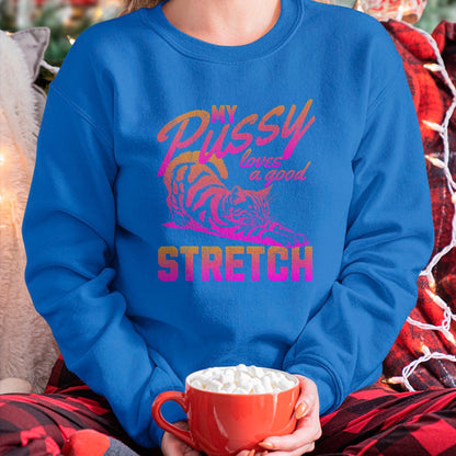 Cat Love Shirt, Funny Cat Lover Gift UnisexT-Shirt/Hoodie/Sweatshirt HLT00 - My Pussy Love A Good Stretch Funny Vintage T-Shirt