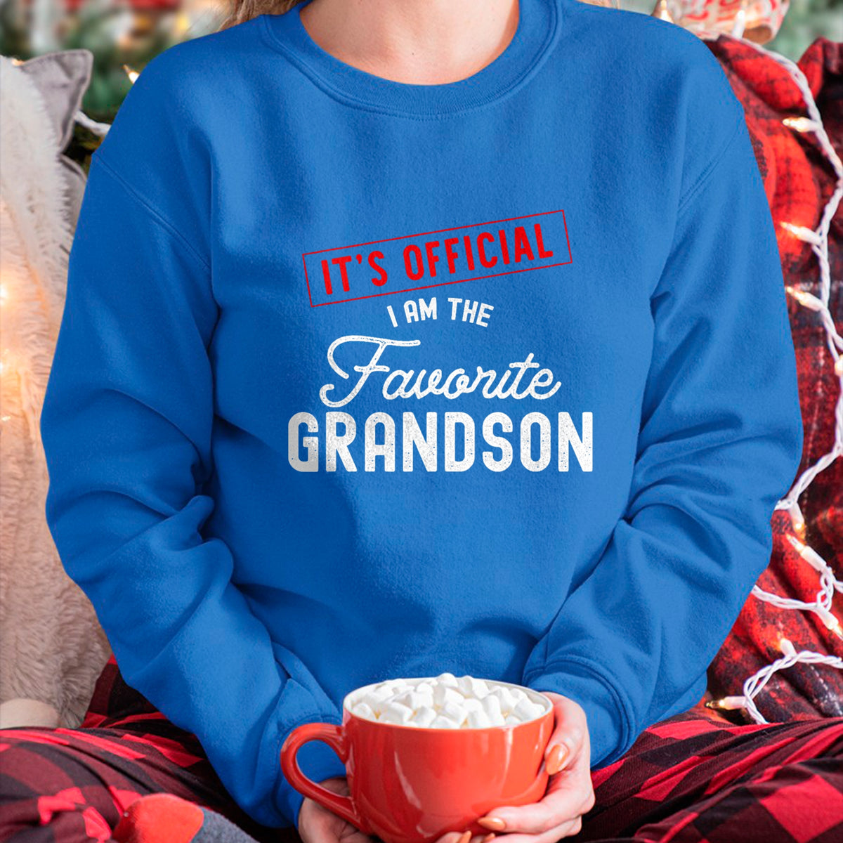 Best Grandpa Shirt, Proud Grandpa Unisex T-Shirt/Hoodie/Sweatshirt HLT00 - It's Official I'm The Favorite Grandson Vintage T-Shirt