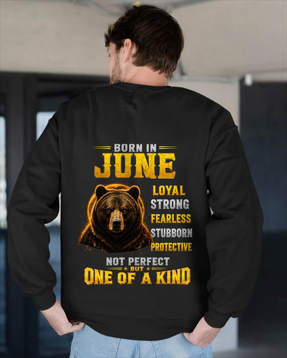 JUNE, LOYAL STRONG FARELESS - SHIRT FOR MEN - HLT06 (SKU2609-04-06)